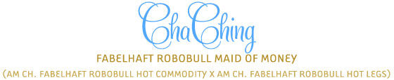 ChaChing - Fabelhaft Robobull Maid of Money